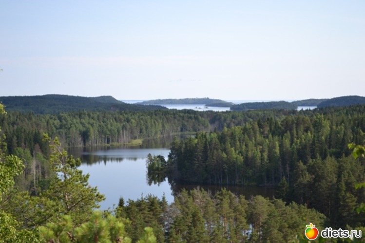 10 ����: ������ 2011