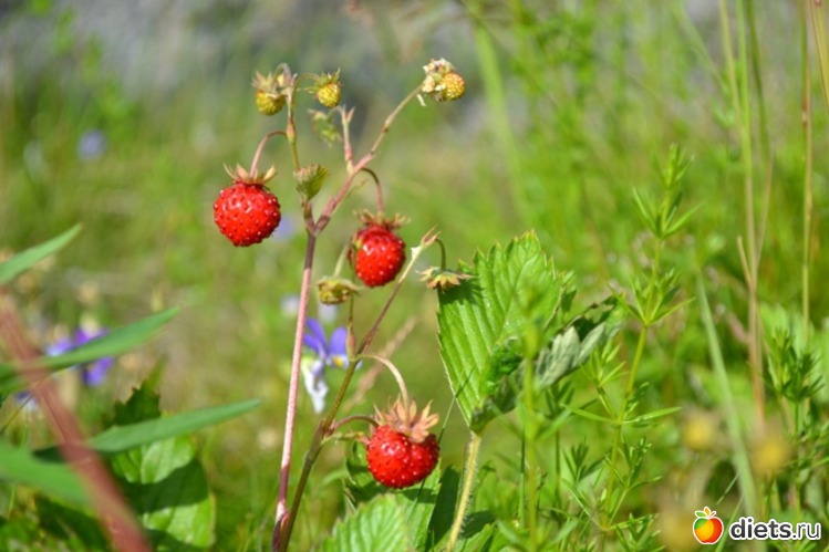 11 ����: ������ 2011