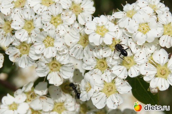 7 ����: ���