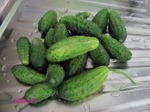 Разгрузочная неделя. Среда на огурцах.