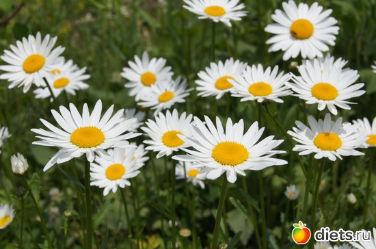 8 ����: ���