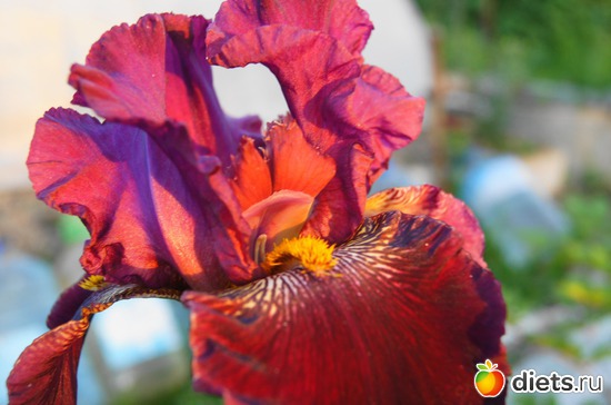 10 ����: ���