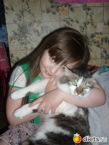 3 ����: ��� ���������