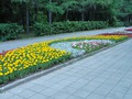 шикарная клумба на мой взгляд