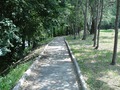 дорожка