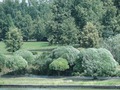 красотища