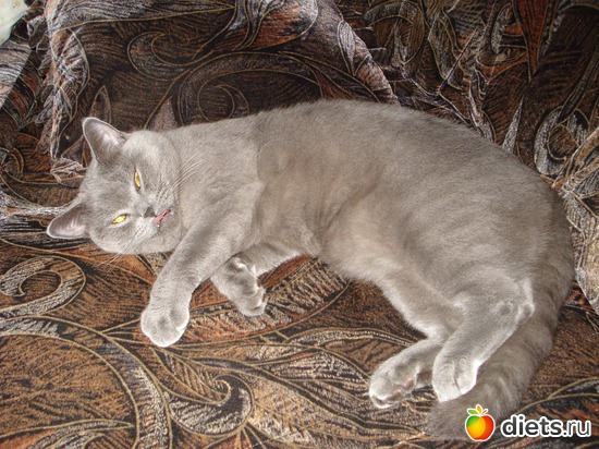 1 ����: ���������)))