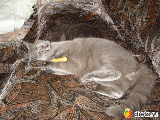 3 ����: ���������)))