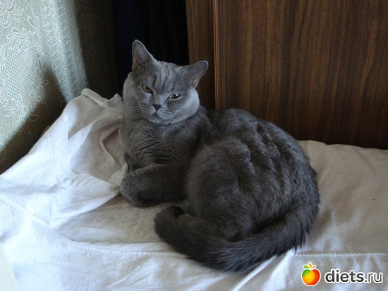 6 ����: ���������)))