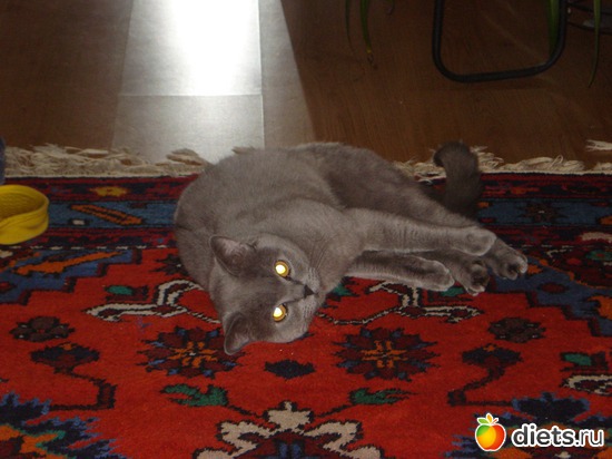 7 ����: ���������)))