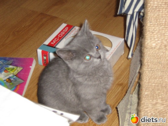 8 ����: ���������)))