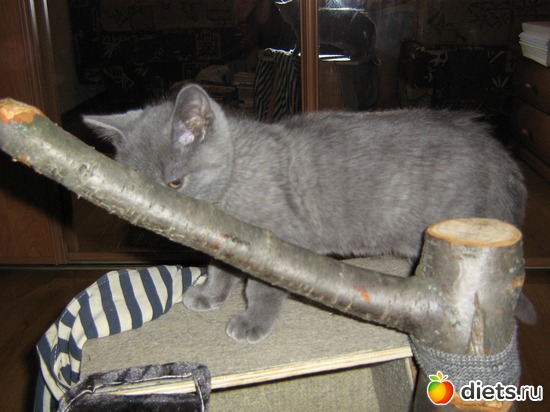 9 ����: ���������)))