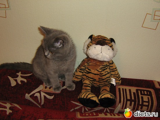 10 ����: ���������)))