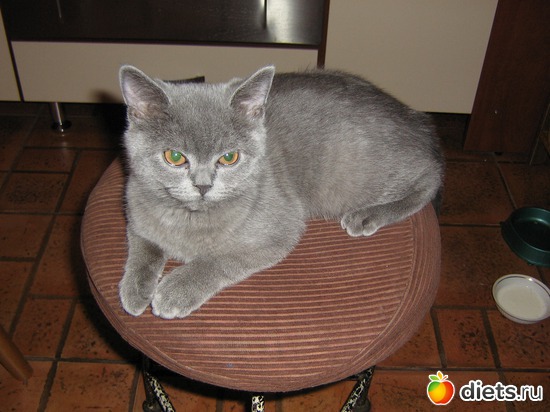 12 ����: ���������)))