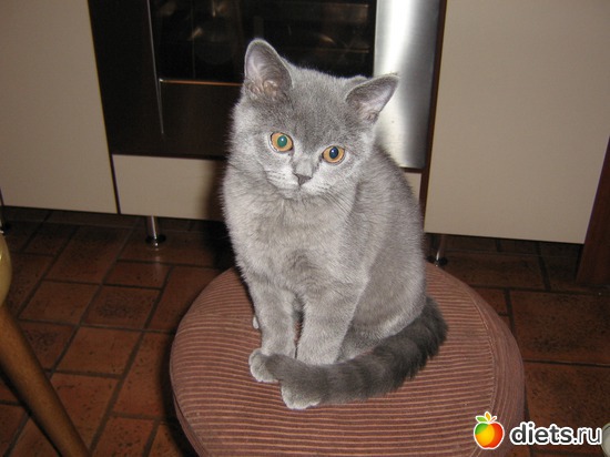 13 ����: ���������)))