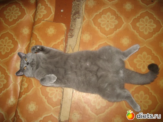 14 ����: ���������)))