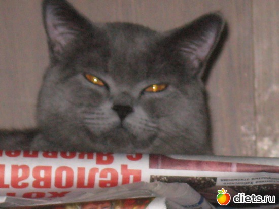 15 ����: ���������)))