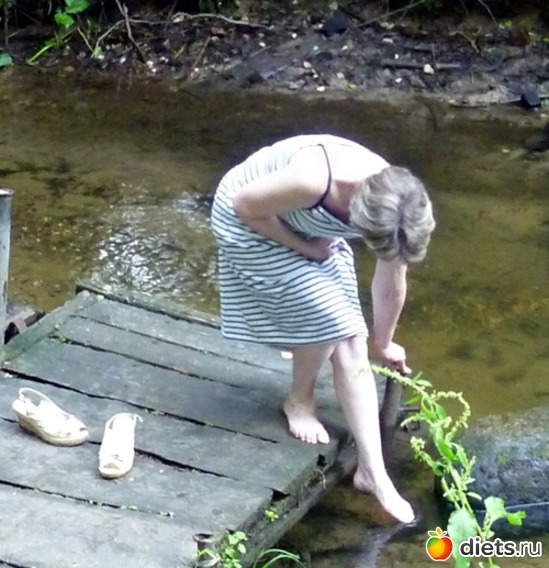 в ручье родниковая вода, альбом: прогулка в лесу