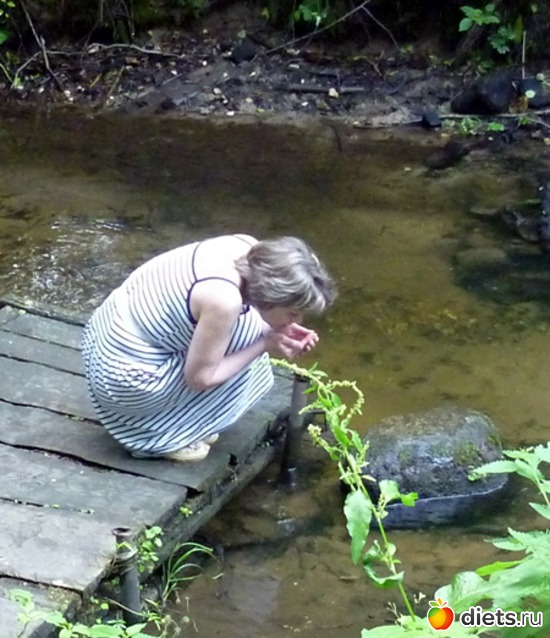 очень молодит, альбом: прогулка в лесу