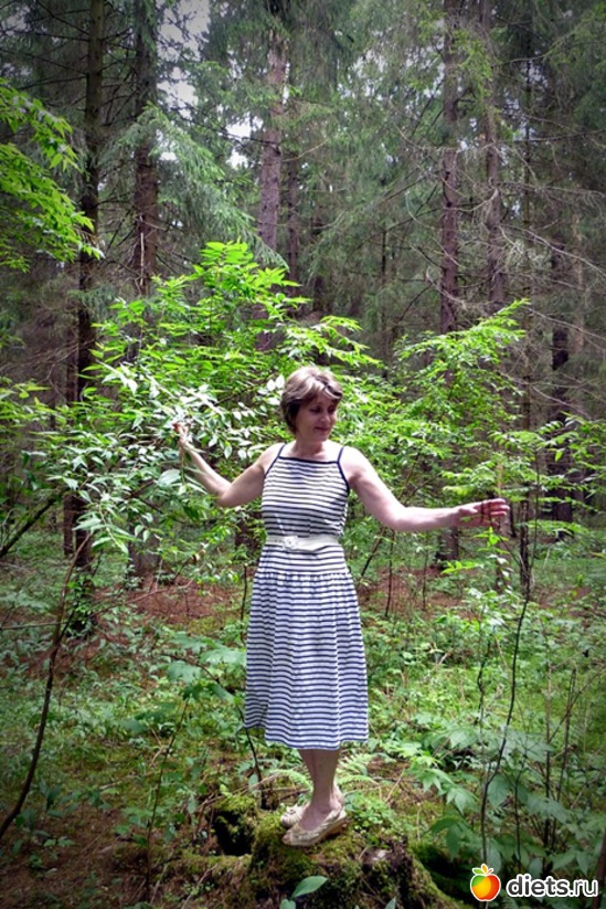 хочу быть дриадой!, альбом: прогулка в лесу