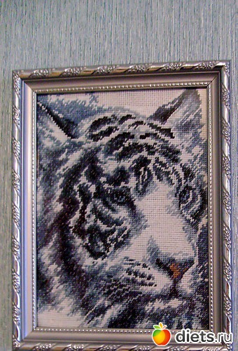 5 ����: ��� ��������!