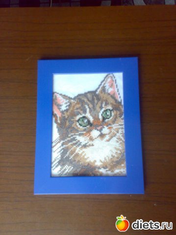 ��� ��������!