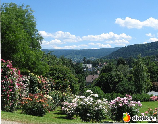 1 фото: Розовый ландшафт