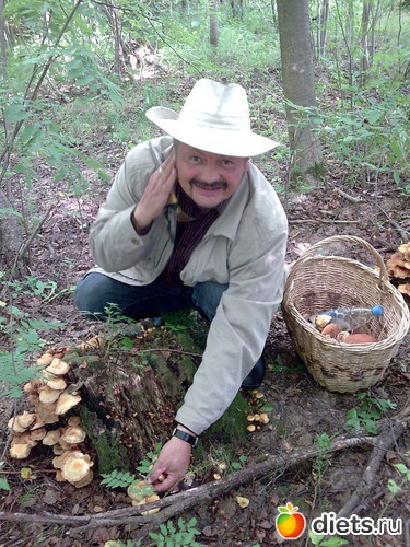 ������� �����, ������: �����