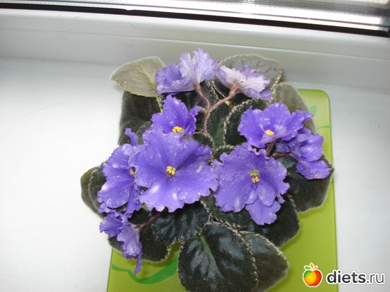 2 ����: ��� ��������