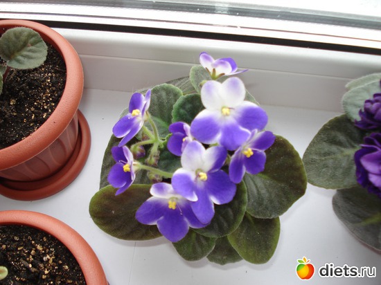 3 ����: ��� ��������