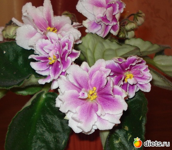 8 ����: ��� ��������