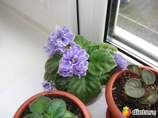 9 ����: ��� ��������