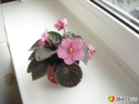 10 ����: ��� ��������