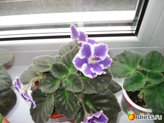 11 ����: ��� ��������