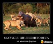 Начиталась... задумалась... и-и-и! разродилась на статью...