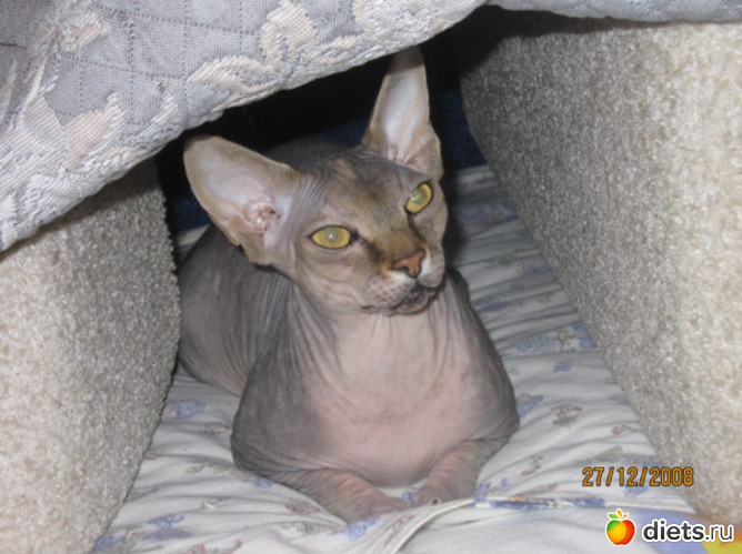 2 фото: Любовь всей моей жизни