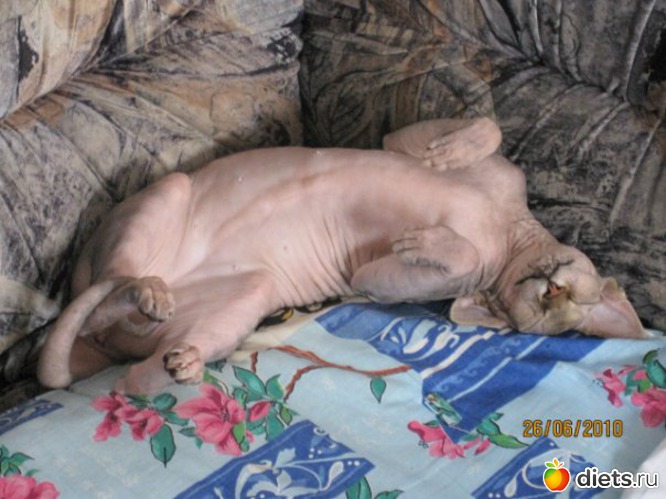 5 фото: Любовь всей моей жизни