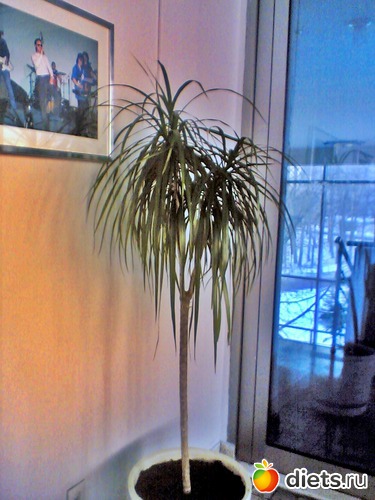 1 ����: ��� ������ (������)