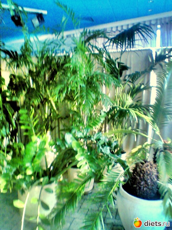 3 ����: ��� ������ (������)