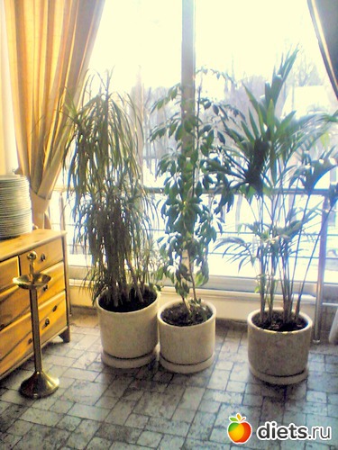 5 ����: ��� ������ (������)