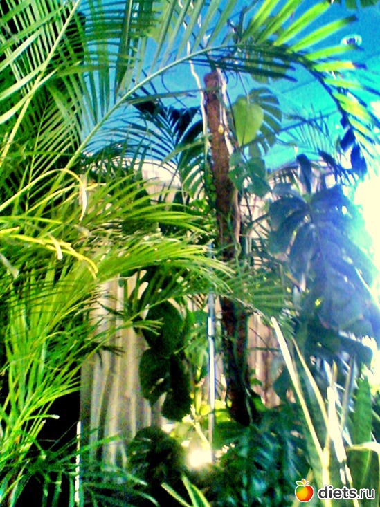 6 ����: ��� ������ (������)