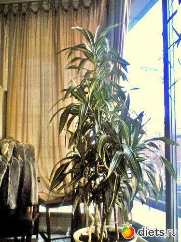 7 ����: ��� ������ (������)