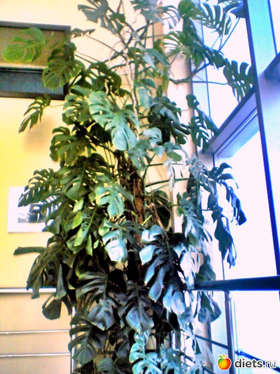 8 ����: ��� ������ (������)