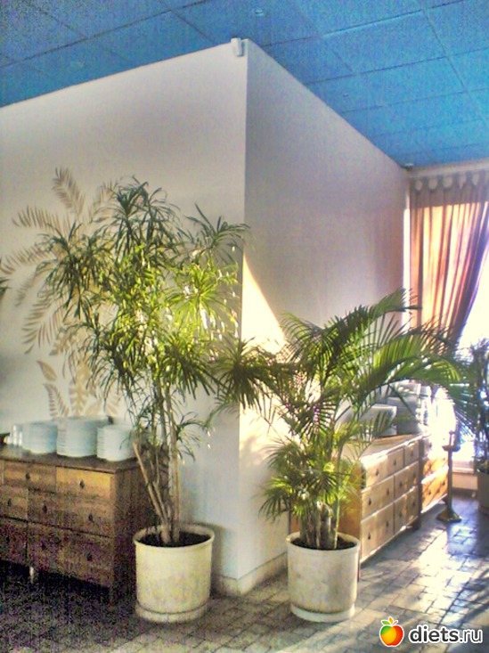 9 ����: ��� ������ (������)