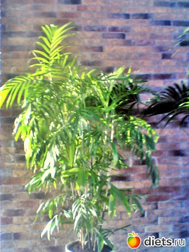 10 ����: ��� ������ (������)