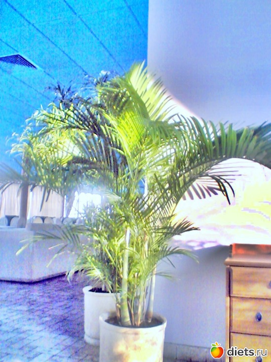 11 ����: ��� ������ (������)