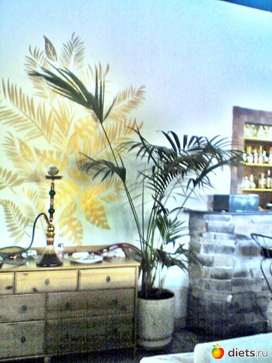 13 ����: ��� ������ (������)