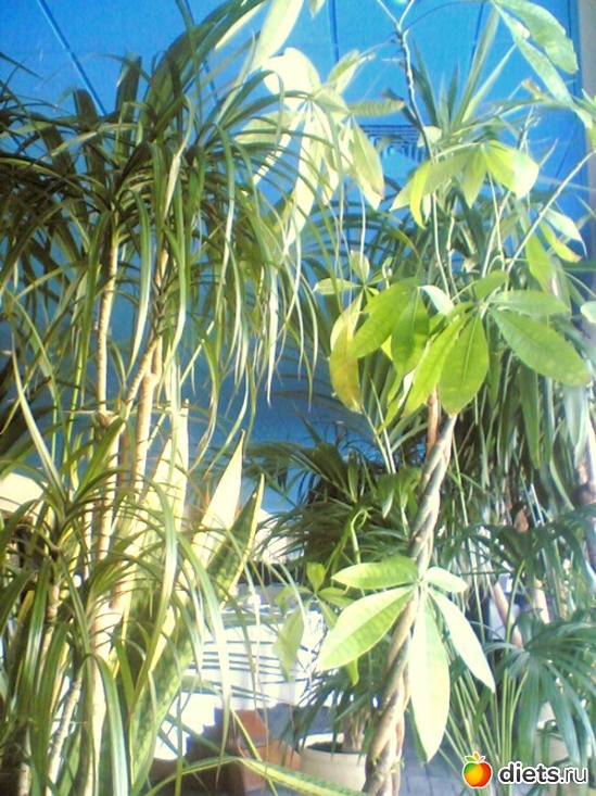 14 ����: ��� ������ (������)