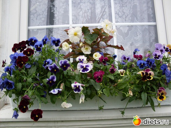 5 ����: � ��� ����