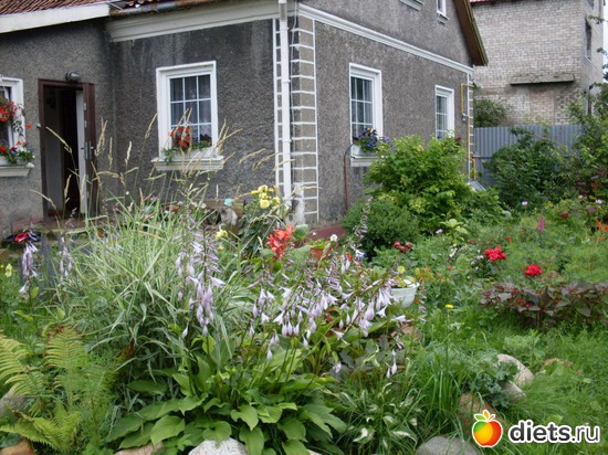 6 ����: � ��� ����